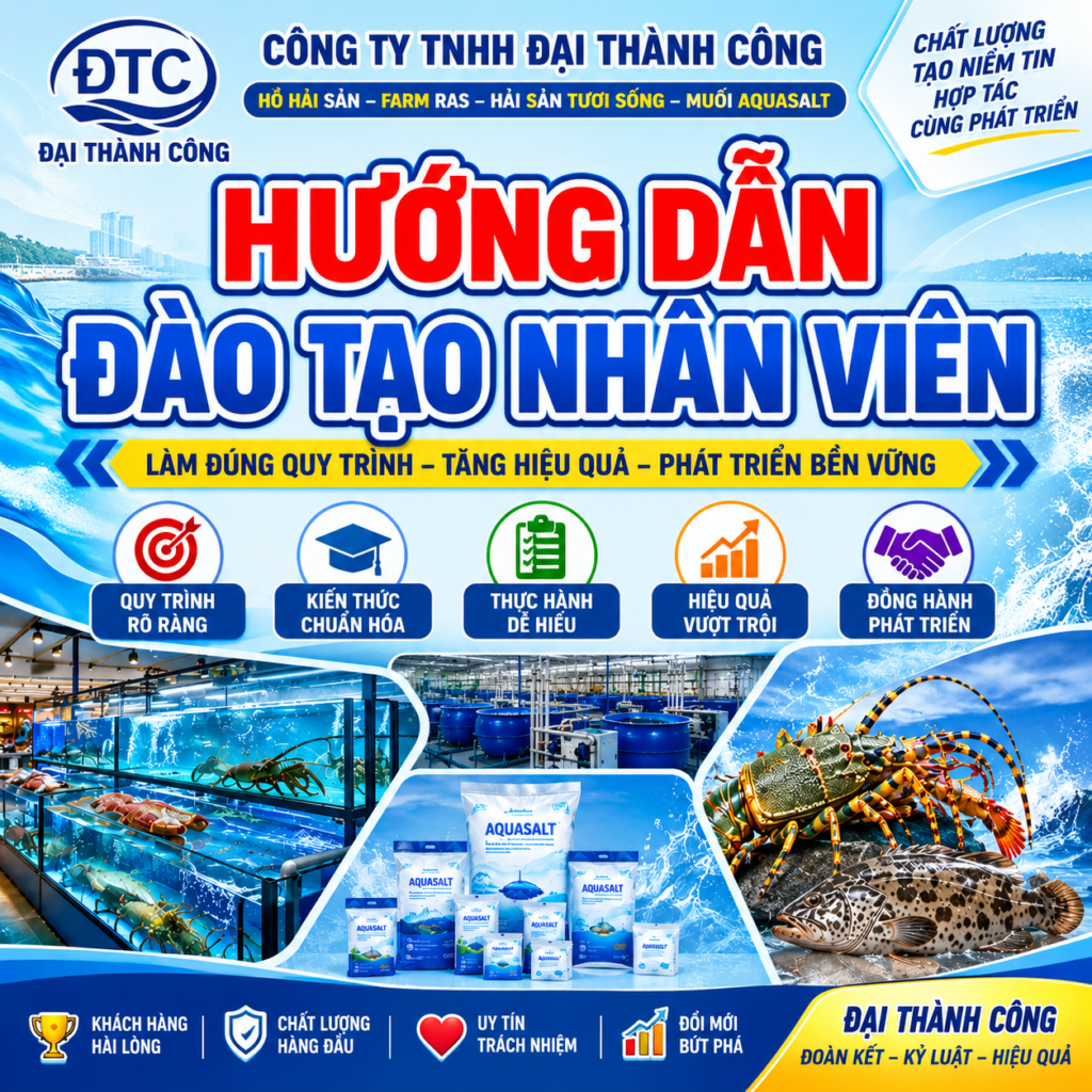 daotao.daithanhcong